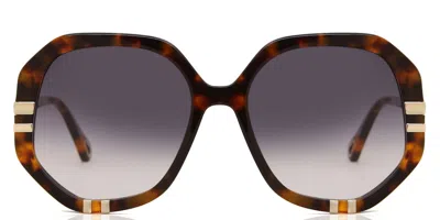Chloé Ch0105s 007 Women's Sunglasses Tortoiseshell Size 55 In Brown