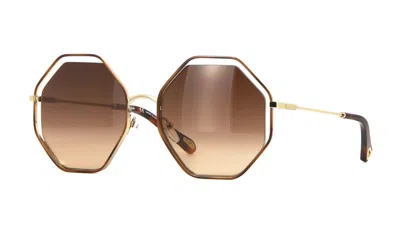 Pre-owned Chloé Ch0105s Black/green Shaded (002) Sunglasses