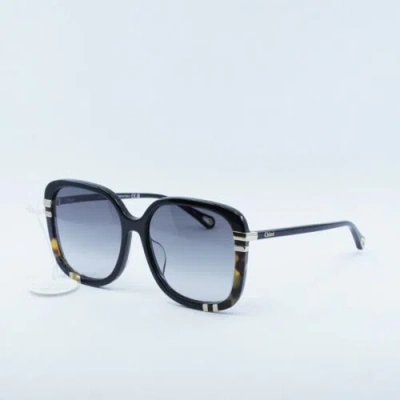 Pre-owned Chloé Chloe Ch0106sa 002 Black/grey Gradient 59-17-145 Sunglasses
