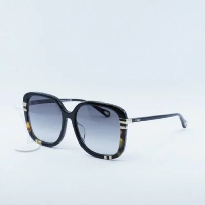 Pre-owned Chloé Chloe Ch0106sa 002 Black/grey Gradient 59-17-145 Sunglasses Authentic
