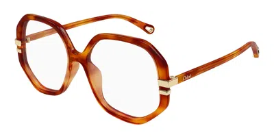 Chloé Ch0107o 018 Occhiali Da Vista Tartarugatishell Per Donna (solo Montatura) In Brown
