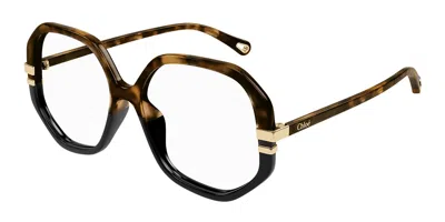 Chloé Ch0107o Women's Glasses, Black, Size 54 In Brown