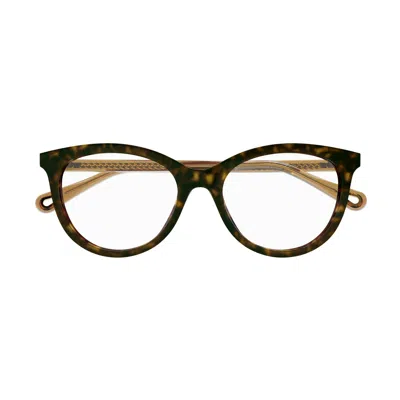 Chloé Ch0117o Rounded Cat-eye Eyeglasses In Brown