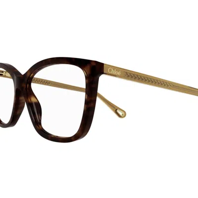 Chloé Ch0118o002 Havana Brown Transpar