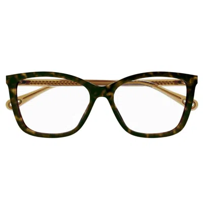 Chloé Ch0118o006 Havana Brown Transpar