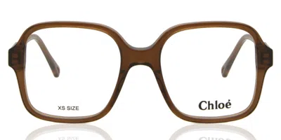 Chloé Ch0126o Women's Glasses, Brown, Size 49