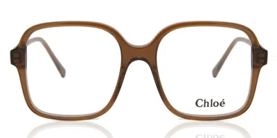 Chloé Ch0126o Women's Glasses, Brown, Size 53