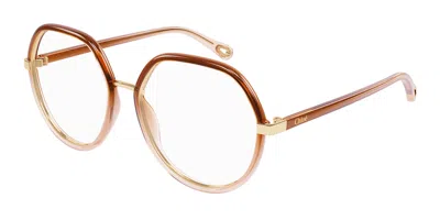 Chloé Ch0131o Women's Glasses, Brown, Size 51 In Multi