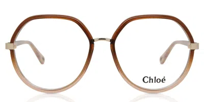 Chloé Ch0131o Women's Glasses, Brown, Size 54
