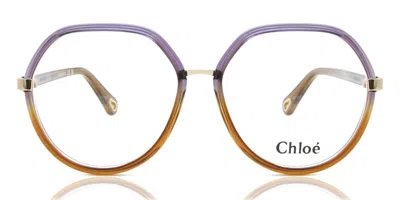 Chloé Ch0131o Women's Glasses, Brown, Size 54