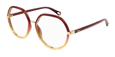 Chloé Ch0131o Women's Glasses, Clear, Size 54 In Brown