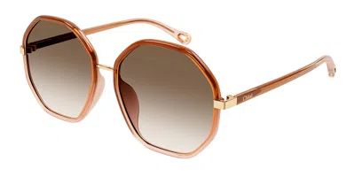 Chloé Ch0133sa Asian Fit 002 Women's Sunglasses Brown Size 59