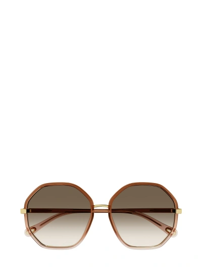 Chloé Ch0133sa Brown Sunglasses