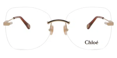 Chloé Ch0136o Women's Glasses, Rose-gold, Size 57
