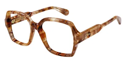Chloé Ch0155o 015 Women's Glasses Clear Size 53 - Free Lenses - Blue Light Block Available In Brown