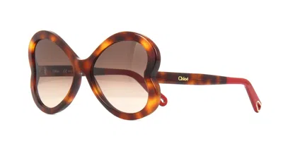 Pre-owned Chloé Chloe Ch0158s Black/blue Shaded (001) Sunglasses