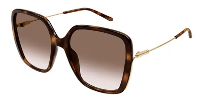Chloé Ch0173s 002 Women's Sunglasses Tortoiseshell Size 57 In Brown