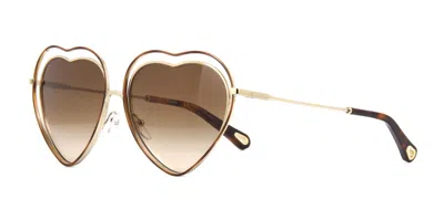 Pre-owned Chloé Ch0177s Gold/green Shaded (004) Sunglasses