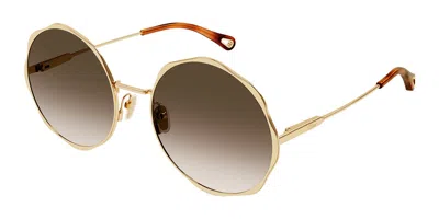Chloé Ch0184s 002 Women's Sunglasses Gold Size 59
