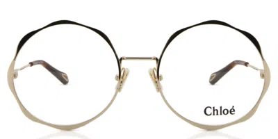 Chloé Ch0185o Asian Fit Women's Glasses, Gold, Size 56