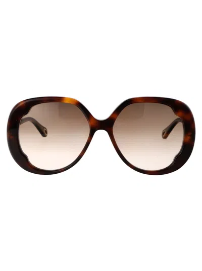 Chloé Eyewear In Brown