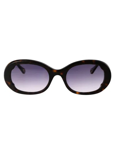 Chloé Chloe Sunglasses Ch0197 S 002 In 002 Havana Havana Blue