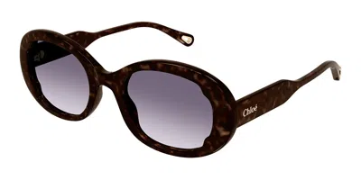 Chloé Ch0197sa Asian Fit 002 Women's Sunglasses Tortoiseshell Size 54 In Black