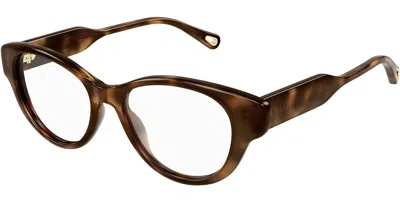 Chloé Ch0199o Men's Glasses, Tortoiseshell, Size 52 In Brown