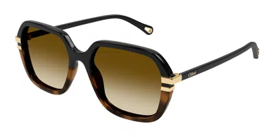 Chloé Ch0204s 003 Women's Sunglasses Black Size 57