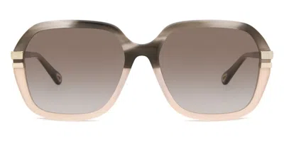 Chloé Ch0204s 004 Women's Sunglasses Brown Size 57