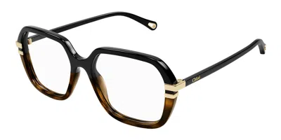 Chloé Ch0205o Women's Glasses, Black, Size 53