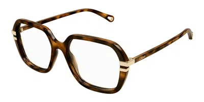 Chloé Ch0205o Women's Glasses, Tortoiseshell, Size 53 In Brown