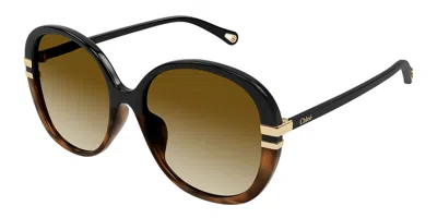 Chloé Ch0207sk Asian Fit 003 Women's Sunglasses Black Size 58