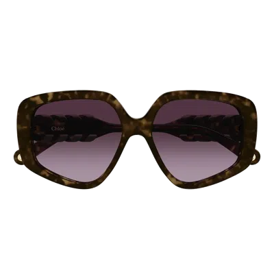 Chloé Ch0210 S Sunglasses In Multi