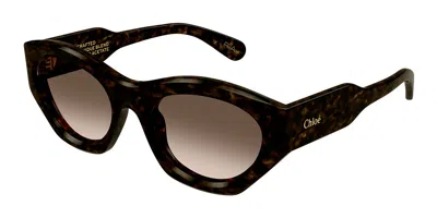 Chloé Ch0220s 002 Women's Sunglasses Tortoiseshell Size 53 In Brown