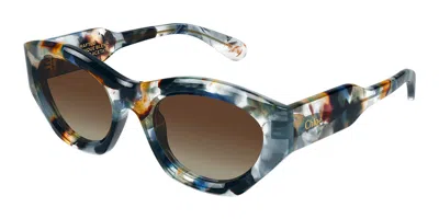 Chloé Ch0220s 017 Women's Sunglasses Tortoiseshell Size 53 In Gray