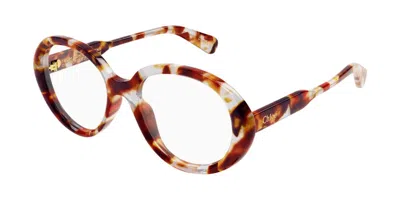 Chloé Ch0221o 008 Occhiali Da Vista Tartarugatishell Per Donna (solo Montatura) In Brown