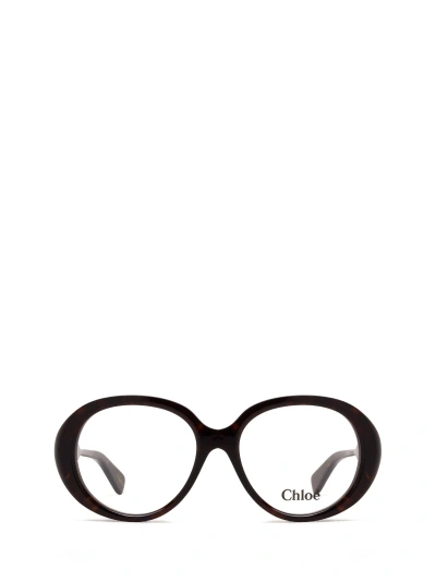 Chloé Ch0221o Havana Glasses