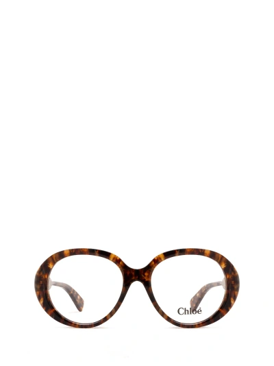 Chloé Ch0221o Havana Glasses