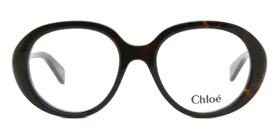 Chloé Ch0221o Women's Glasses, Tortoiseshell, Size 53 In Brown