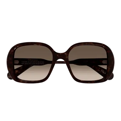 Chloé Ch0222 S Sunglasses In Black