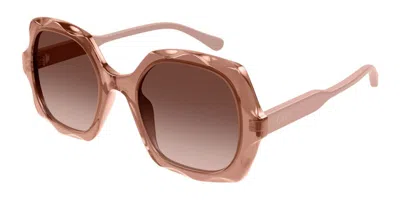 Chloé Ch0226s 003 Women's Sunglasses Brown Size 53