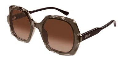 Chloé Ch0226s 007 Women's Sunglasses Brown Size 53