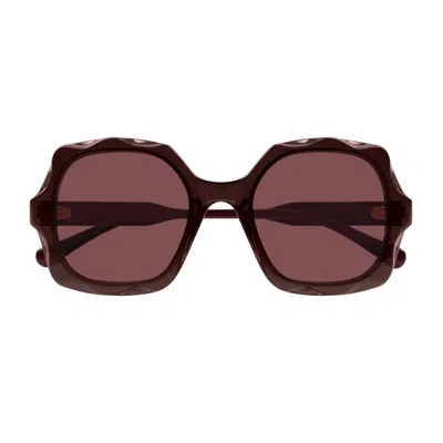 Chloé Womens Purple Ch0226s Square-frame Acetate Sunglasses In Brown-brown-copper