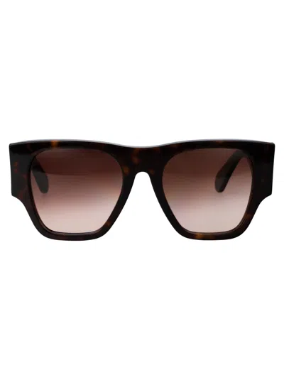 Chloé Havana Havana Brown Acetate Sunglasses
