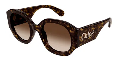 Chloé Ch0234s 002 Women's Sunglasses Tortoiseshell Size 53 In Brown