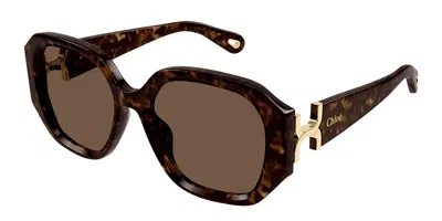 Chloé Ch0236s Asian Fit 002 Women's Sunglasses Tortoiseshell Size 56 In Brown
