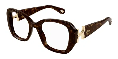 Chloé Ch0239o Women's Glasses, Tortoiseshell, Size 51 In Brown