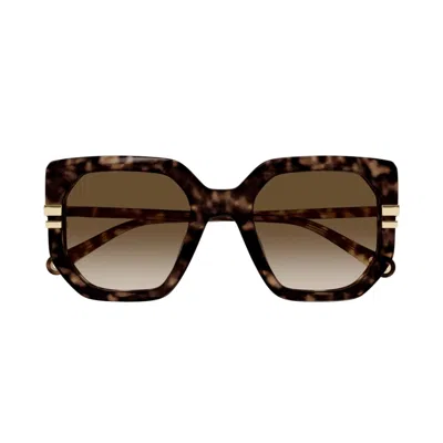 Chloé Ch0240s 002 Sunglasses In Brown