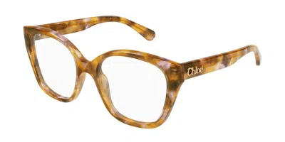 Chloé Ch0241o 006 Women's Glasses Tortoiseshell Size 53 - Free Lenses - Blue Light Block Available In Brown
